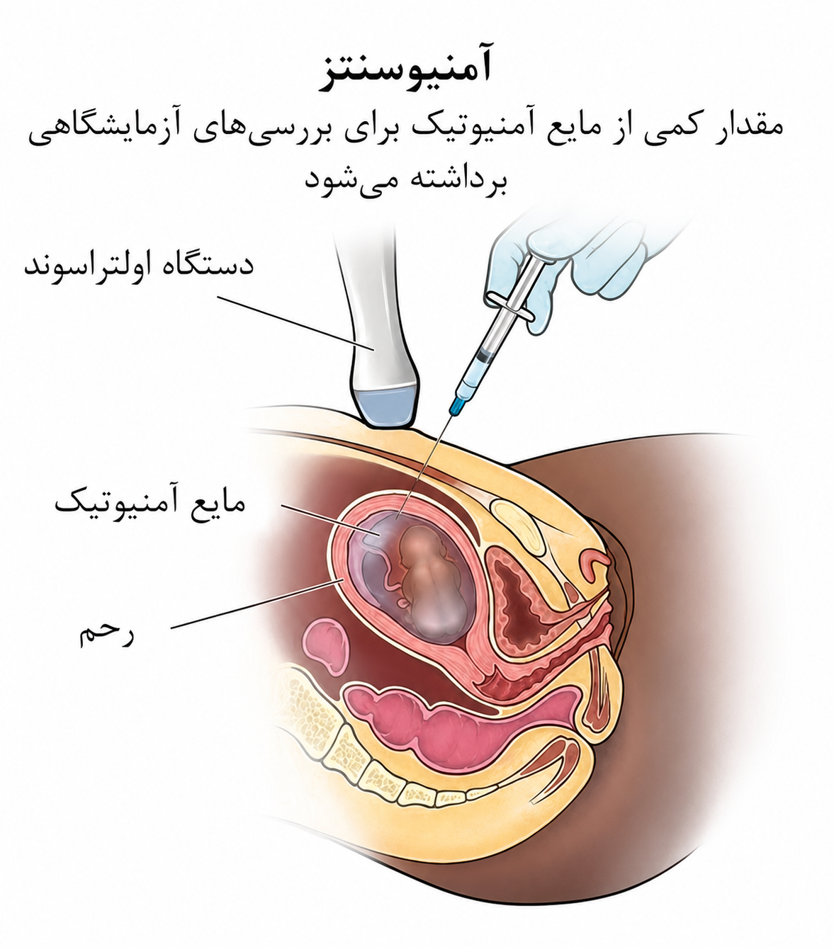 image:https://s3.planovin.com/planovin-srv-files-customer/31077658/albums/0/2026-08-10_rtoppjyrcn.png